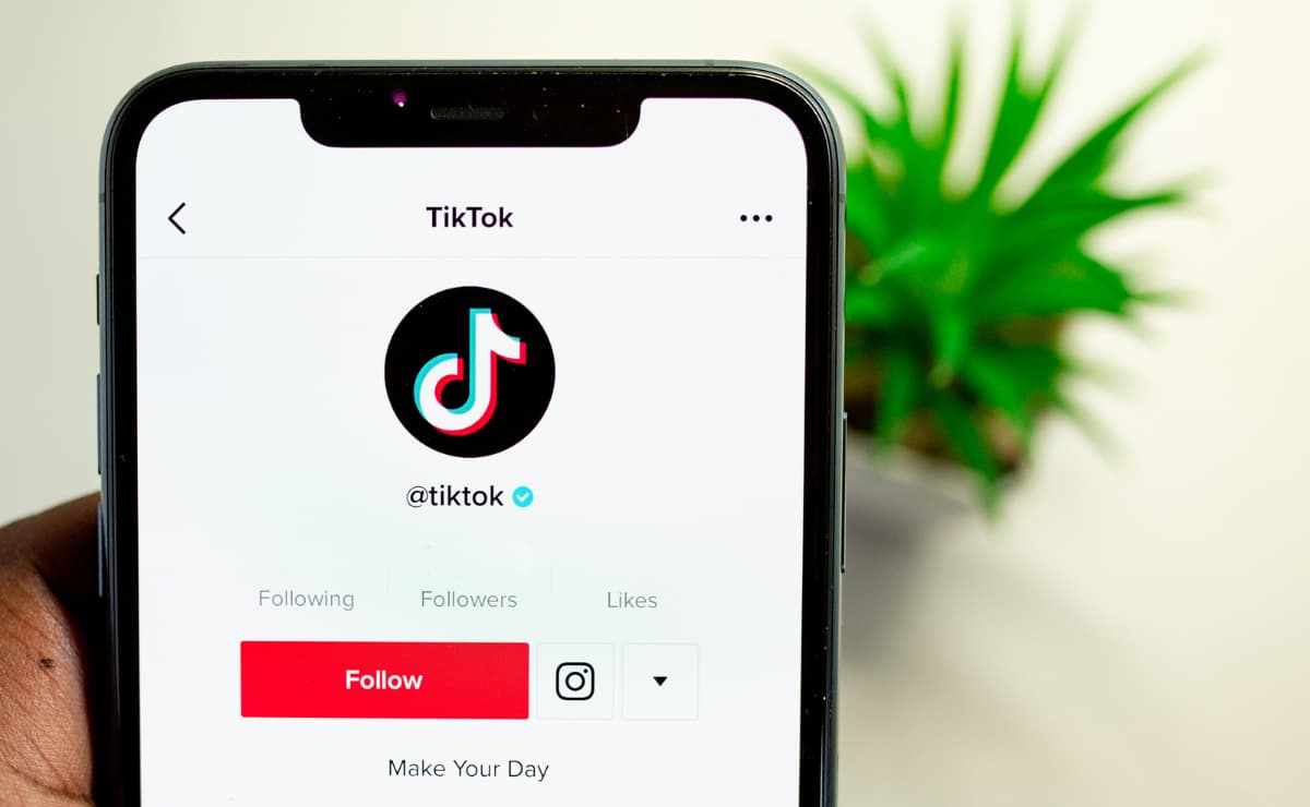 Important things to keep in mind for your purchases on TikTok|things to keep in mind for your purchases on TikTok